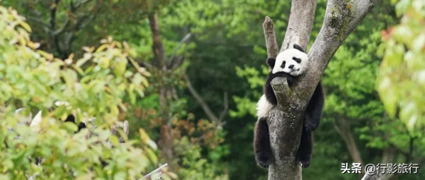 位居世界第一,中國這56個世界遺產絕了 位居世界第一,中國這56個世界遺產絕了