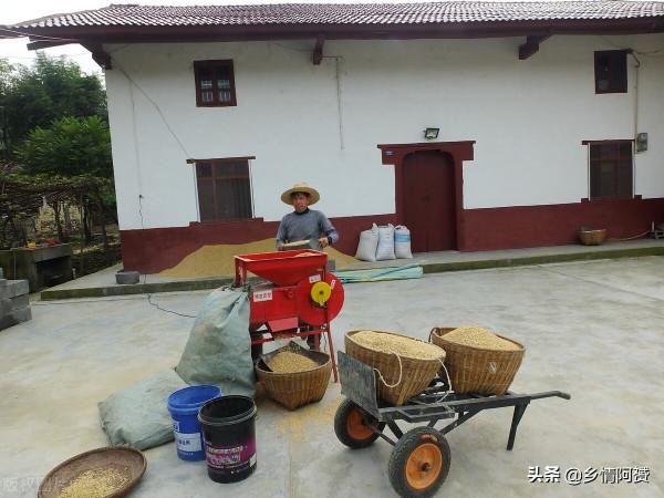 農村泥瓦匠說“農房改造儘量少用地板磚”，為什麼