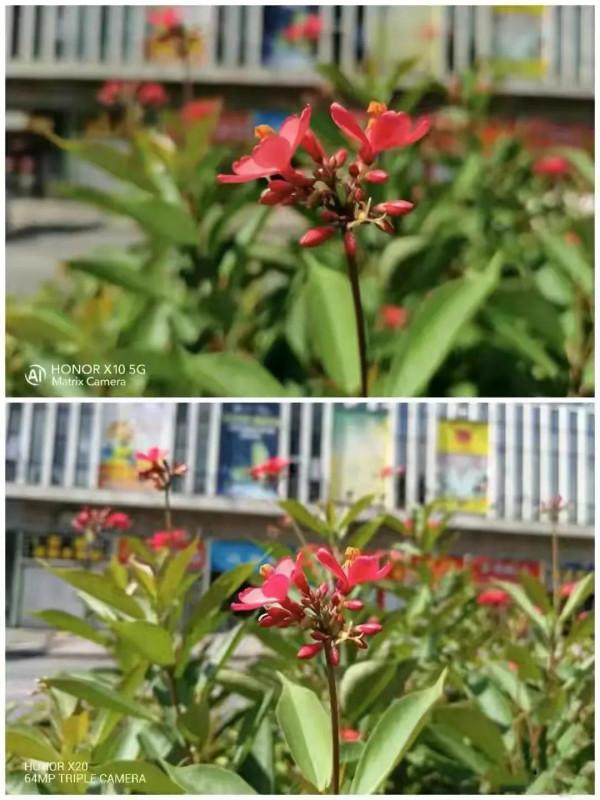 榮耀x10和榮耀x20對比，哪一款更值得買呢？