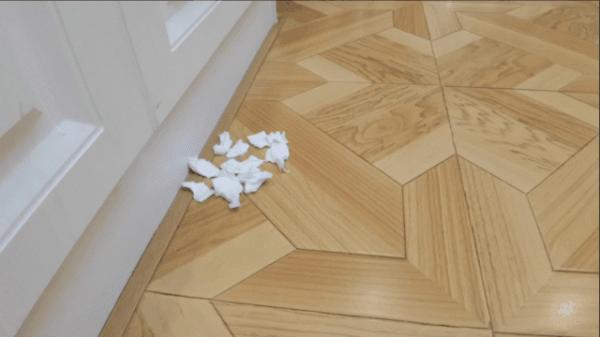 懶人救星，掃拖吸洗除菌一機搞定——添可芙萬2.0無線智慧洗地機