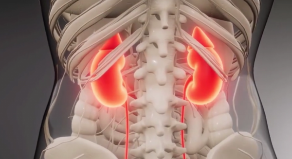 科普：你知道我們的身體每一分鐘會有哪些變化嗎？