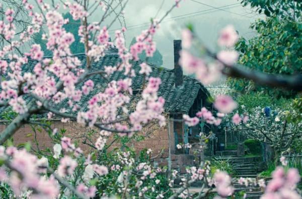 逃離城市！四川最美的10個神仙村落，第一個就心動了