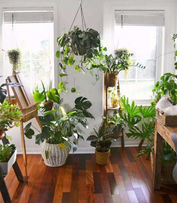 奶奶對我說，臥室別養7類花，仔細想一想，不是&OpenCurlyDoubleQuote;迷信&rdquo;是科學