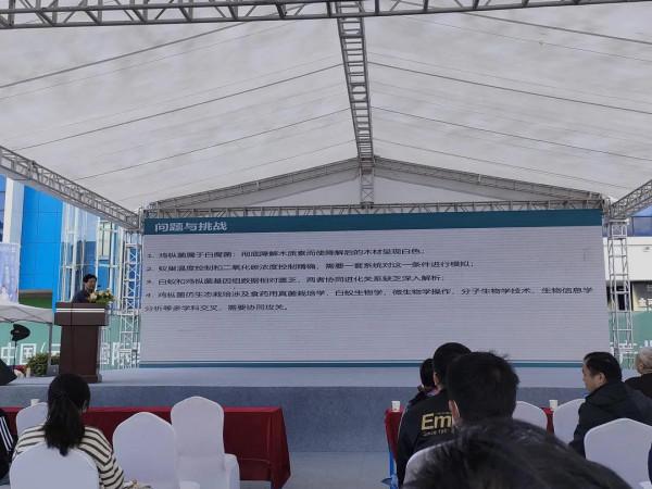 雞樅人工種植成功？野生食用菌產業大會，重新整理你對食用菌的認知