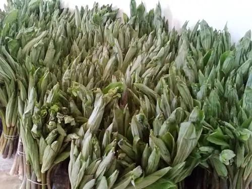 在雲南吃過的絕味美食（2）