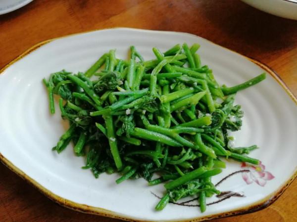 老人喜歡吃的南瓜藤,竟會給身體健康造成威脅,真是這樣嗎? 老人喜歡吃的南瓜藤,竟會給身體健康造成威脅,真是這樣嗎?