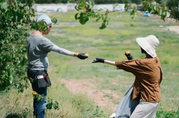 初秋況味，京郊秋遊走起~