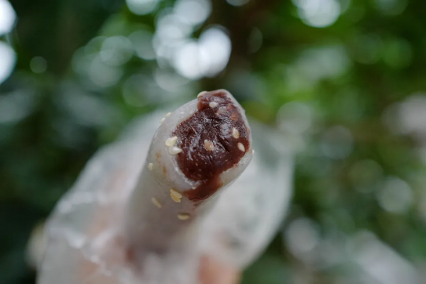 伴手禮買啥?進來抄作業 伴手禮買啥?進來抄作業