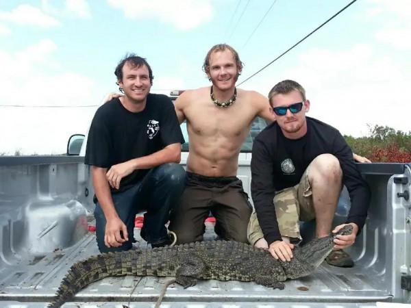 鱷魚好圖大雜燴 鱷魚好圖大雜燴