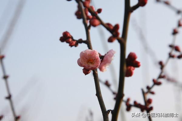 小寒節氣最要防的就是“寒溼”!再忙也要做好這3件事 小寒節氣最要防的就是“寒溼”!再忙也要做好這3件事