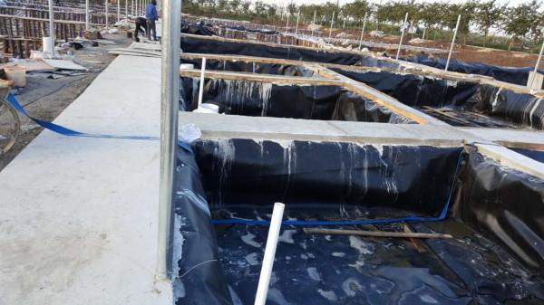 防滲膜在水產養殖業優勢多多,學會這幾點輕鬆延長使用壽命 防滲膜在水產養殖業優勢多多,學會這幾點輕鬆延長使用壽命