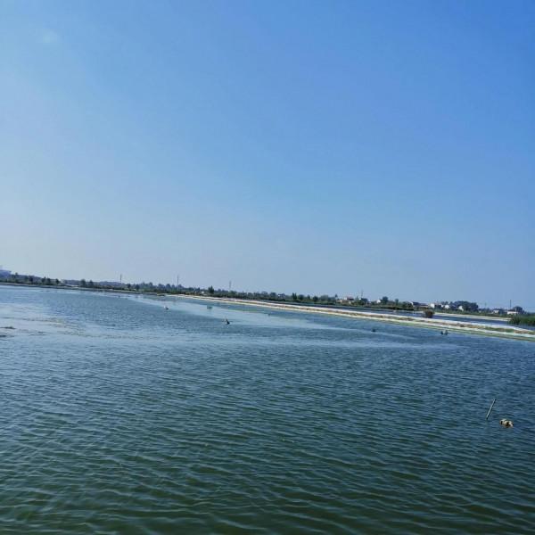 帶你領略農村的稻蝦蟹共生基地 帶你領略農村的稻蝦蟹共生基地