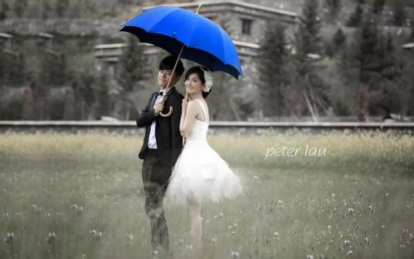 謝娜在湖南衛視年收入一千萬，張傑六千萬，為什麼還要租房住？