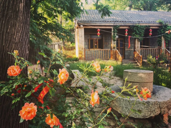 靈山秀水,漫山紅葉......一到深秋,這個被人遺忘的世外桃源又美成仙! 靈山秀水,漫山紅葉......一到深秋,這個被人遺忘的世外桃源又美成仙!