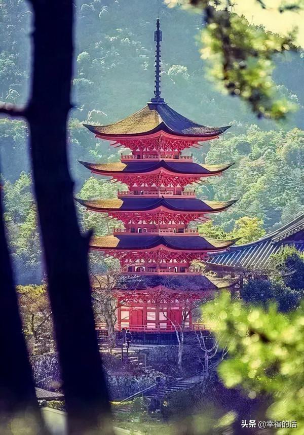 五彩繽紛的世界 五彩繽紛的世界