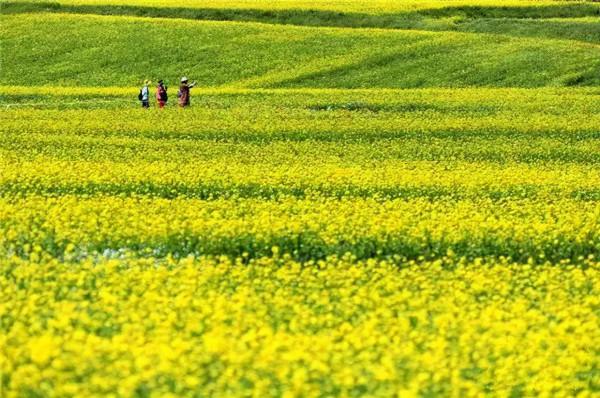 甘肅,不折不扣的“人間天堂”,25個景點美了千年,卻低調萬年~ 甘肅,不折不扣的“人間天堂”,25個景點美了千年,卻低調萬年~