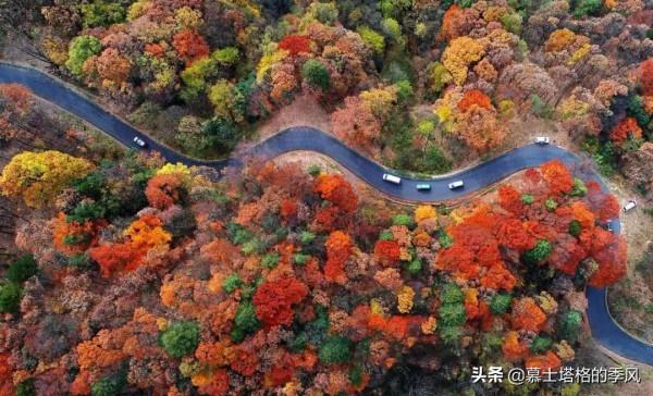 中國最美的10個紅葉景區,每一個都美到極致,你去過幾個? 中國最美的10個紅葉景區,每一個都美到極致,你去過幾個?