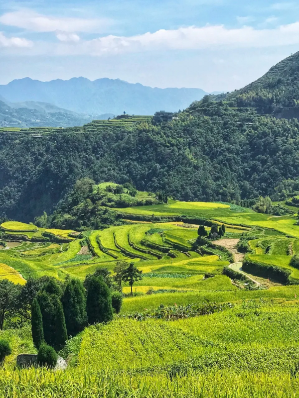 浙江青田的中國韻味