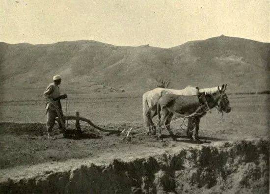 紅軍團長河南當“馬伕”8年無人知,1959年,毛主席點名帶其進京 紅軍團長河南當“馬伕”8年無人知,1959年,毛主席點名帶其進京