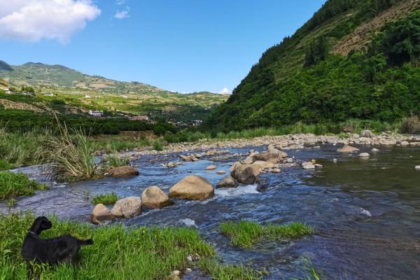 鄉村振興，偏遠山區農村缺錢、缺人、缺產業？3種最新思路破局