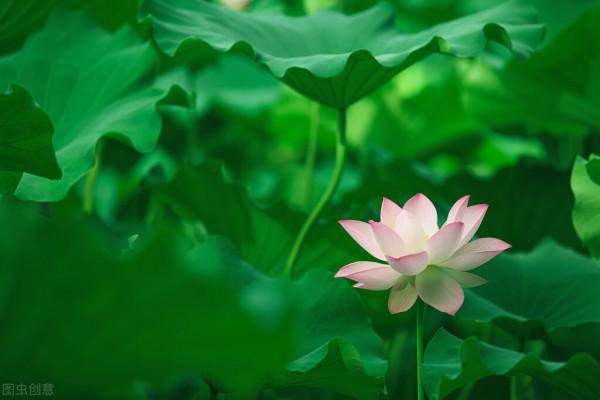 舍友輕生，我退租｜和中介溝通時，我發現，我所有的書都白讀了