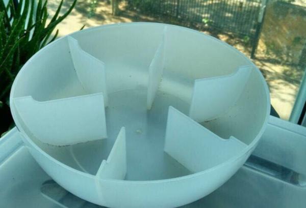 夏季養根有方法，學會這5點，根系發達植株旺