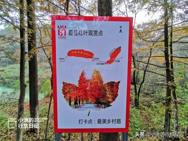 秦嶺秋天最美自駕公路，只有39公里，卻穿越中國南北