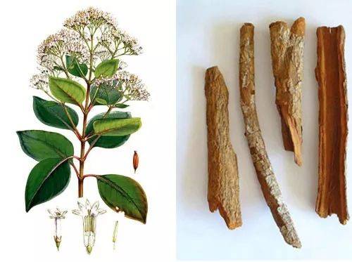 康熙3任皇后平均壽命不足25歲,頂尖的醫療資源為何救不了她們 康熙3任皇后平均壽命不足25歲,頂尖的醫療資源為何救不了她們