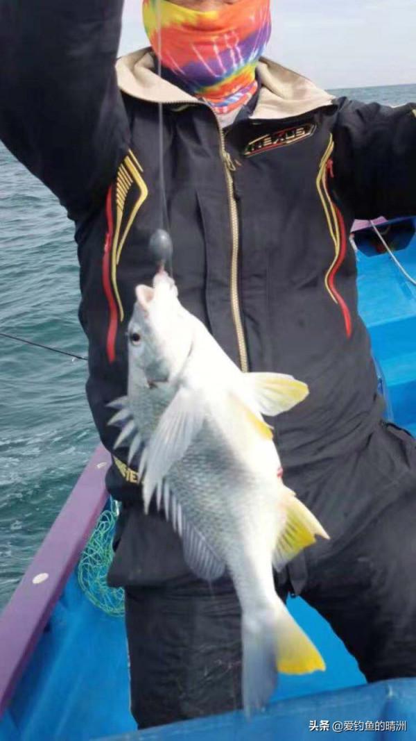 全世界最好食的魚曬乾