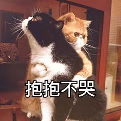 追光|在全運村丟個小毛驢試試?分分鐘找回來 追光|在全運村丟個小毛驢試試?分分鐘找回來