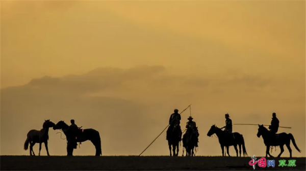 20220222最有愛的一天！看草原上那些成雙成對的風景