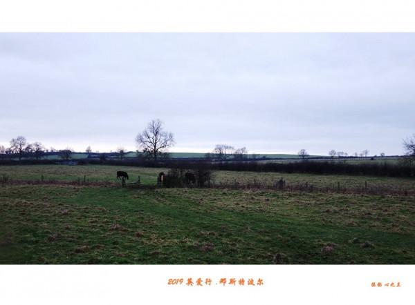 浮光掠影看英愛（40）——英國牛津（一）