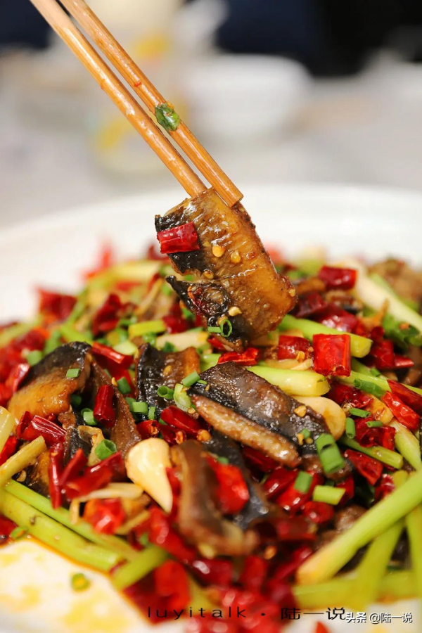 趴魚鰍、跳水魚、香鍋兔、小煎雞,夠辣夠味的江湖菜,吃爽了 趴魚鰍、跳水魚、香鍋兔、小煎雞,夠辣夠味的江湖菜,吃爽了