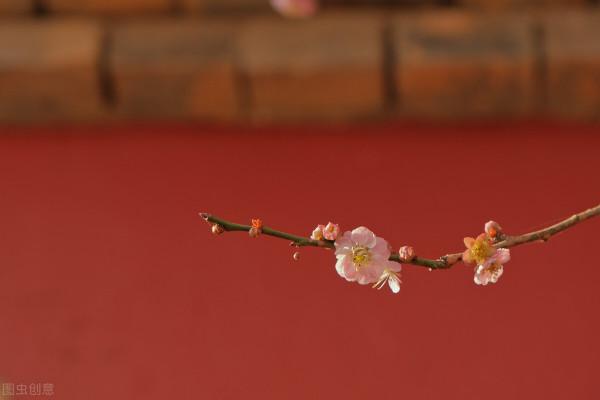 30首盡顯巔峰之美的超一流宋詩，驚豔歲月，每一首都有千古名句