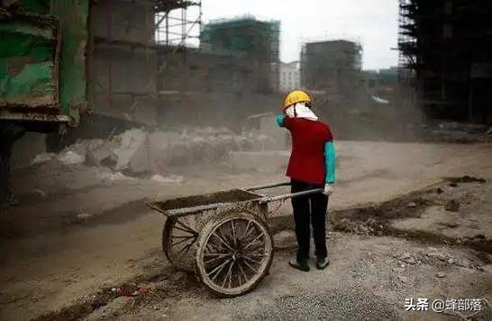 農民怎麼提高種植收益？3種農作物種植方式，畝產收入上萬元