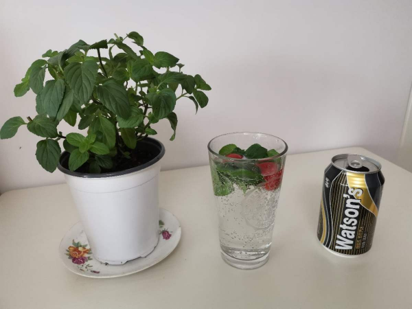 養花總是爛根，澆水千萬管住手，現在越幹才越“安全”