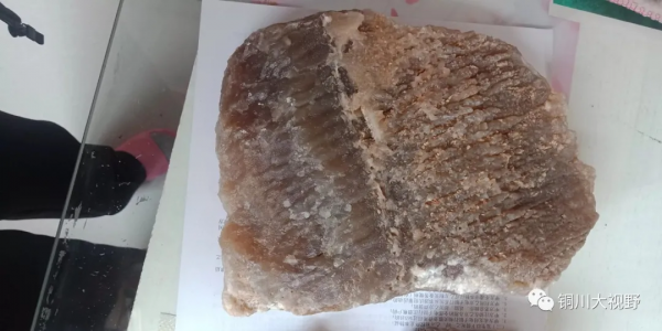 陝西銅川宜君縣深山發現“奇石”?你怎麼看 陝西銅川宜君縣深山發現“奇石”?你怎麼看