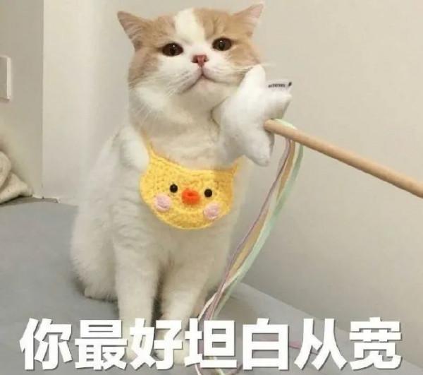 家裡電費蹭蹭漲？今天就告訴你，誰才是真正的耗電大王？