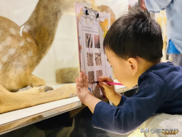 親子打卡!科學探索,細菌好有趣啊,參觀1000+件標本 親子打卡!科學探索,細菌好有趣啊,參觀1000+件標本