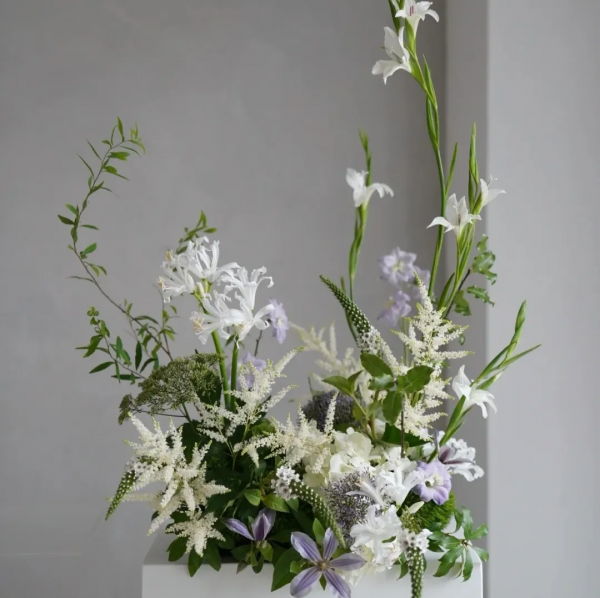 葉似蕨，花霧朦，落新婦散發浪漫唯美的氣息 | 壹木星球 No.4