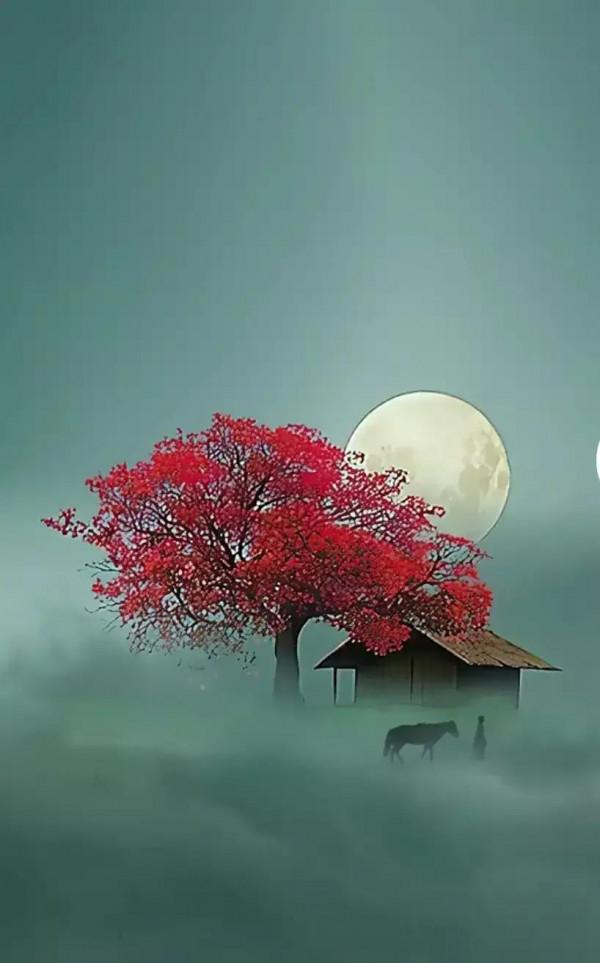 沒有月餅的中秋節