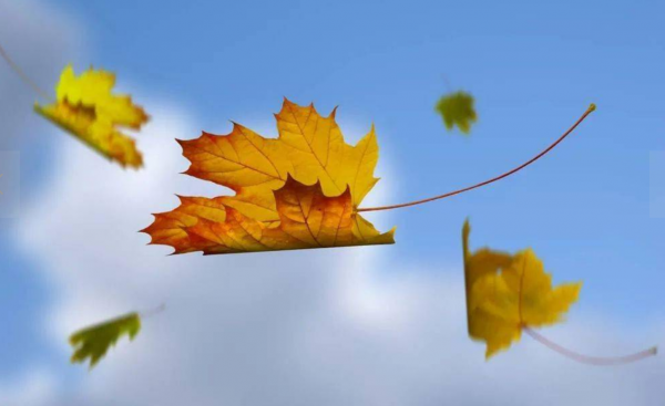 七大姑八大姨都在討論房價降了！你覺得呢