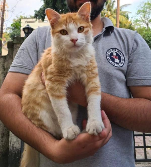 總有一些騙你養寵物的時刻