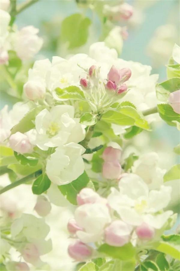 從指縫中，溜走的三天