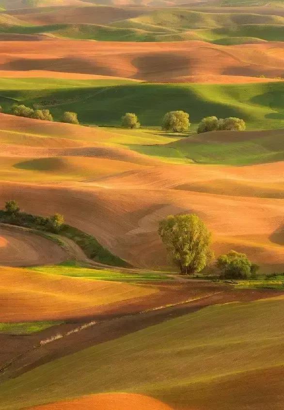 美呆的人間仙境