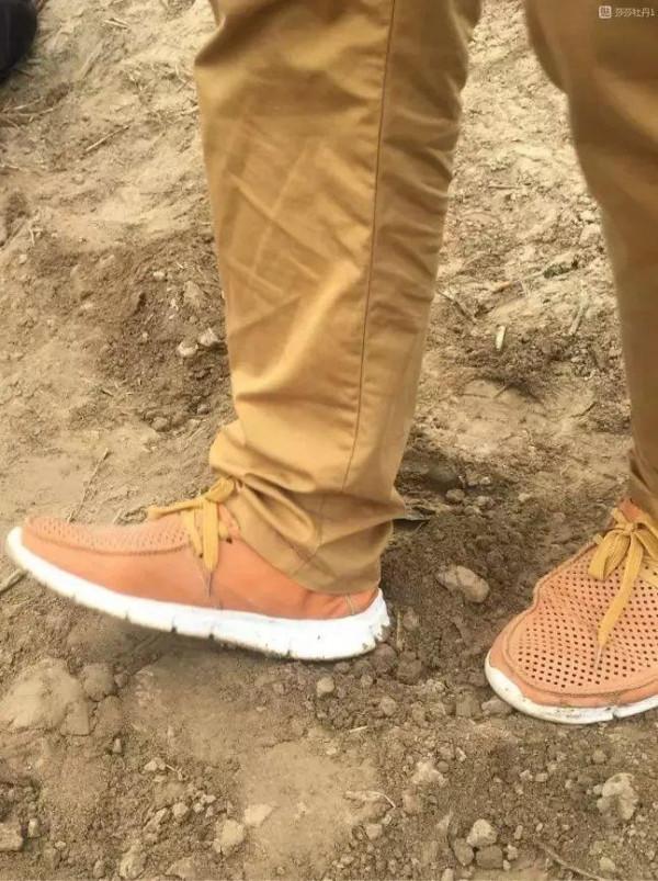 注意，芍藥一年種一次，晚了全年不開花