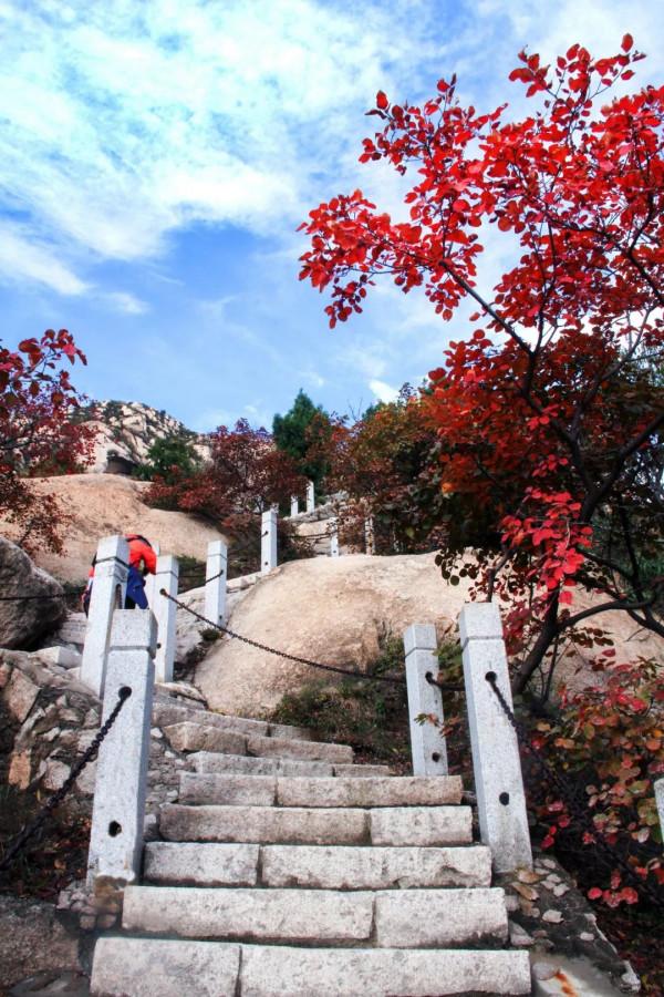 鳳凰嶺彩葉進入最佳觀賞期