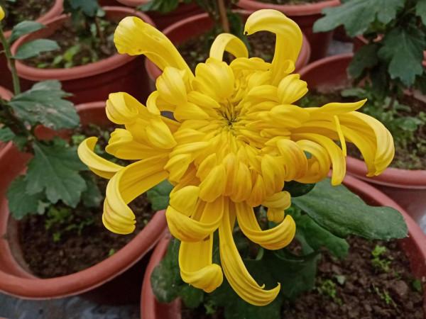 淼淼日記，逛烏尤寺