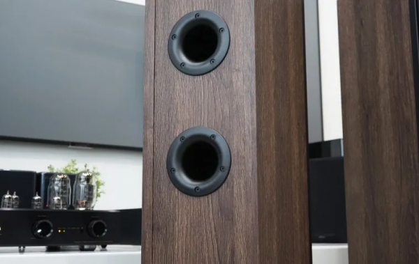 DALI OPTICON 6 MKII 評測：細膩而精緻