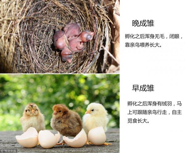 漢字探源：漢（漢）本義是什麼？